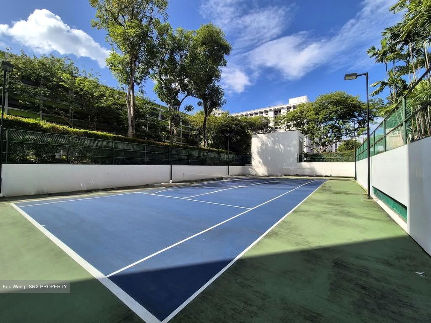 The Eden At Tampines (D18), Condominium #554245321